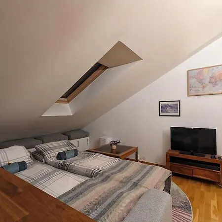 Sunny Loft With Terrace Close To City Center * 奥斯陆