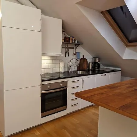 Appartement Sunny Loft With Terrace Close To City Center Oslo