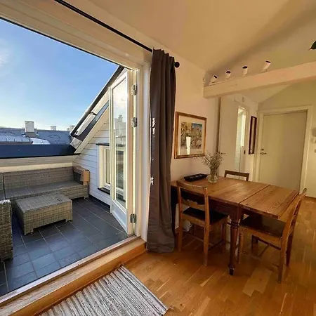 Sunny Loft With Terrace Close To City Center Oslo