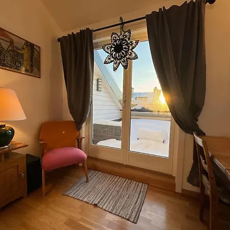 Sunny Loft With Terrace Close To City Center 公寓 *