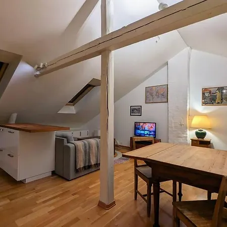 公寓 Sunny Loft With Terrace Close To City Center *