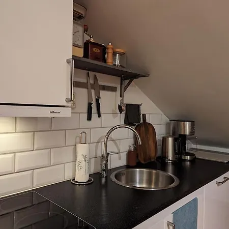 公寓 Sunny Loft With Terrace Close To City Center