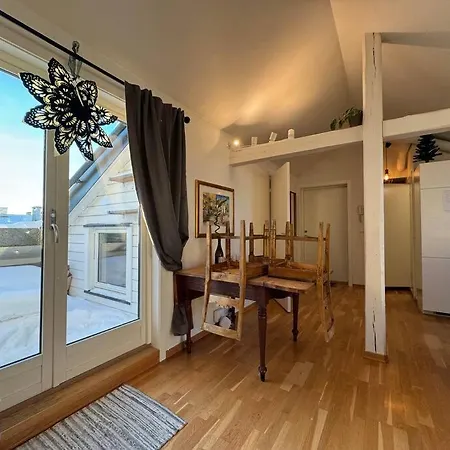 Sunny Loft With Terrace Close To City Center