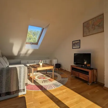 Sunny Loft With Terrace Close To City Center Oslo