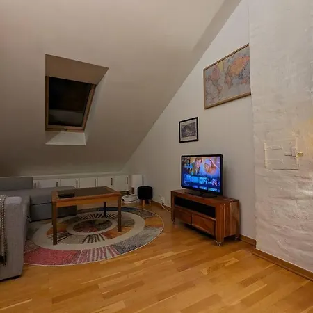 Sunny Loft With Terrace Close To City Center * Oslo