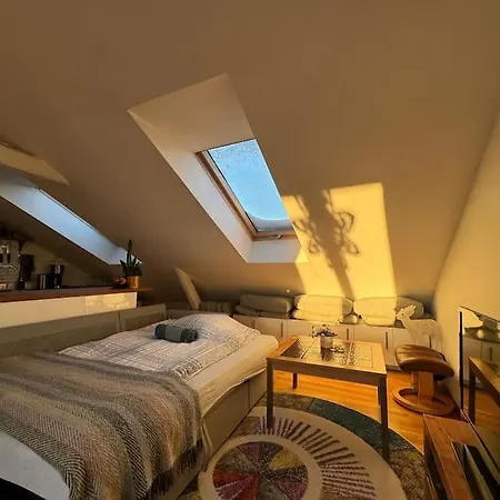 Sunny Loft With Terrace Close To City Center Oslo